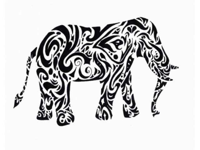 640x480 Are You Actually An Elephant Expert Playbuzz