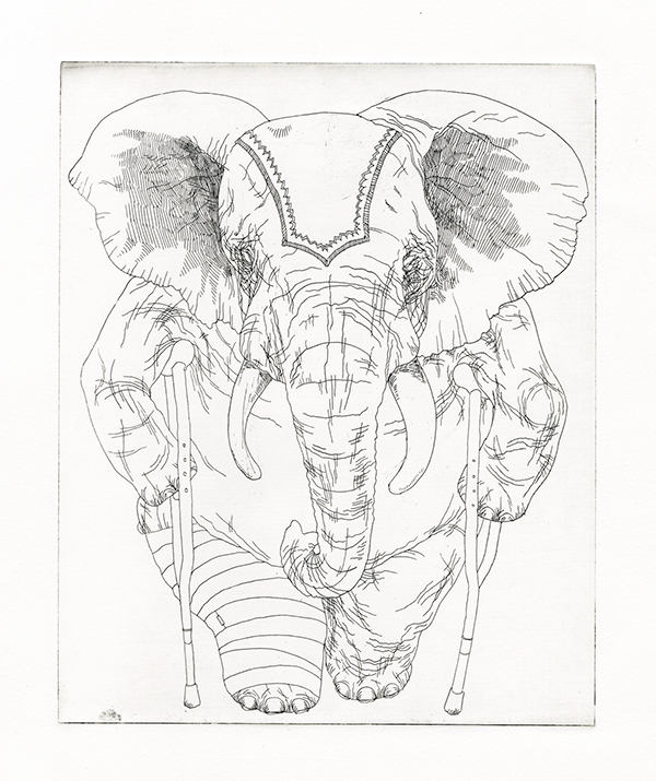 600x715 The Circus Elephant On Behance