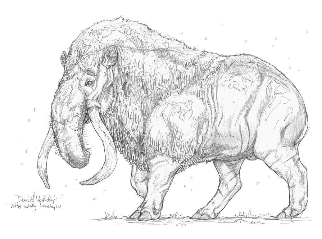 1037x770 Zac Walton (Zac Walton)