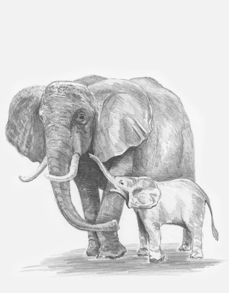 469x600 Diane Wright Art Journal At The Zoo