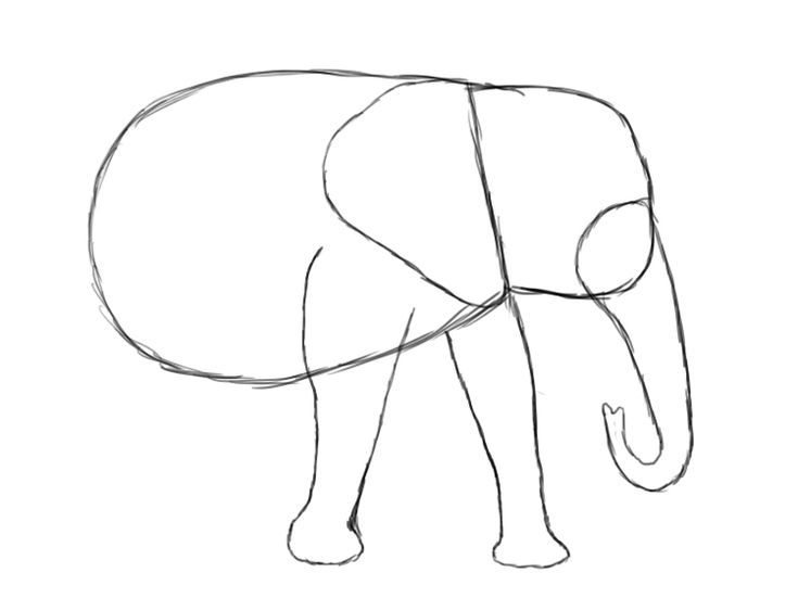 735x551 Best Draw An Elephant Ideas On Elephant Drawing