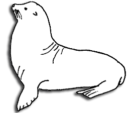 261x225 Marine Mammals Piedras Blancas San Simeon, Cambria California