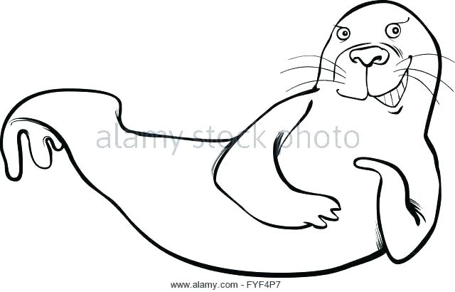 640x410 Pretty Seal Coloring Pages Best Of Color By Number Page Elephant