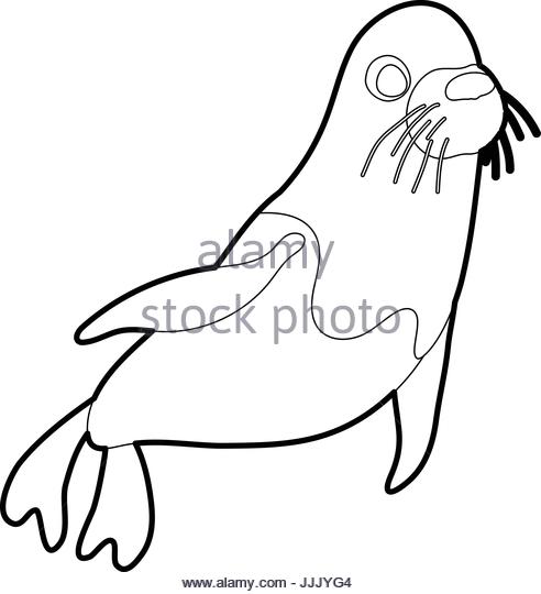 492x540 Seal Animal Drawing Stock Photos Amp Seal Animal Drawing Stock