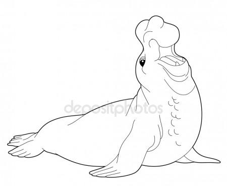 450x368 Sparrow Bird Sketch Stock Photo Nadyaus