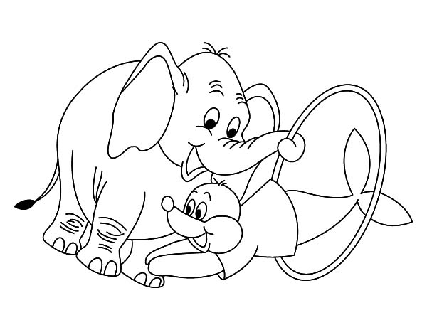 600x464 Circus Elephant Helping Seal Show Coloring Pages Best Place To Color