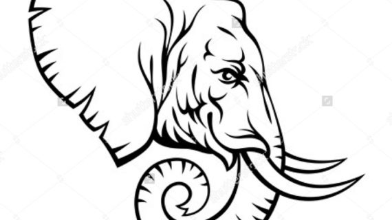570x320 Elephant Head Drawing Elephant Head Side View Stock Photos Image
