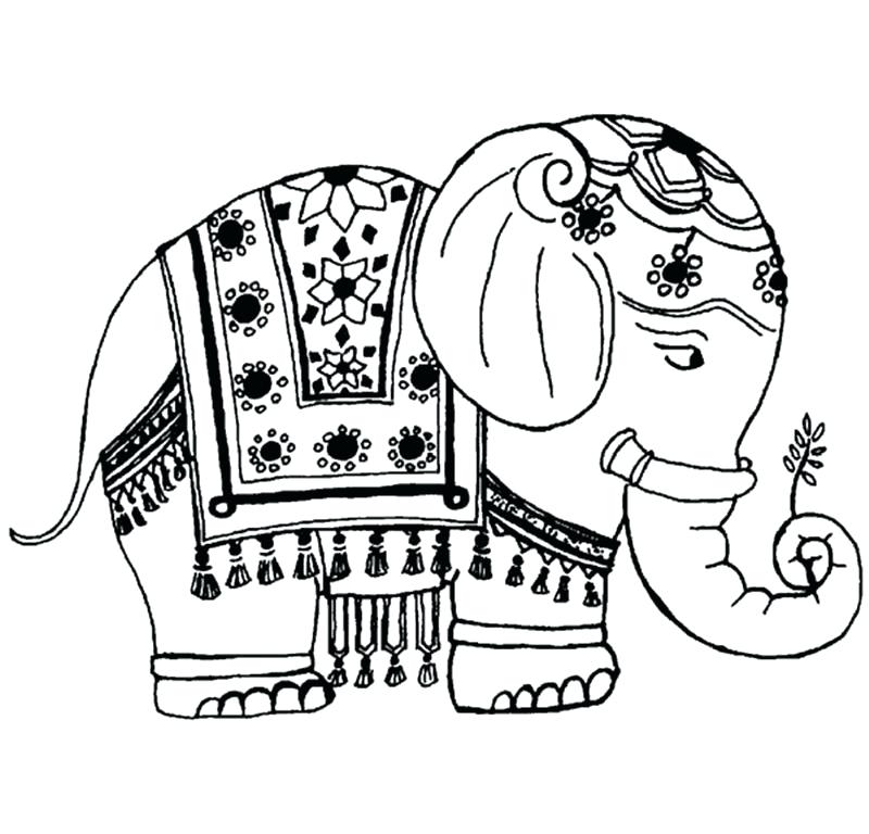 800x768 Elephant Clipart Memocards.co