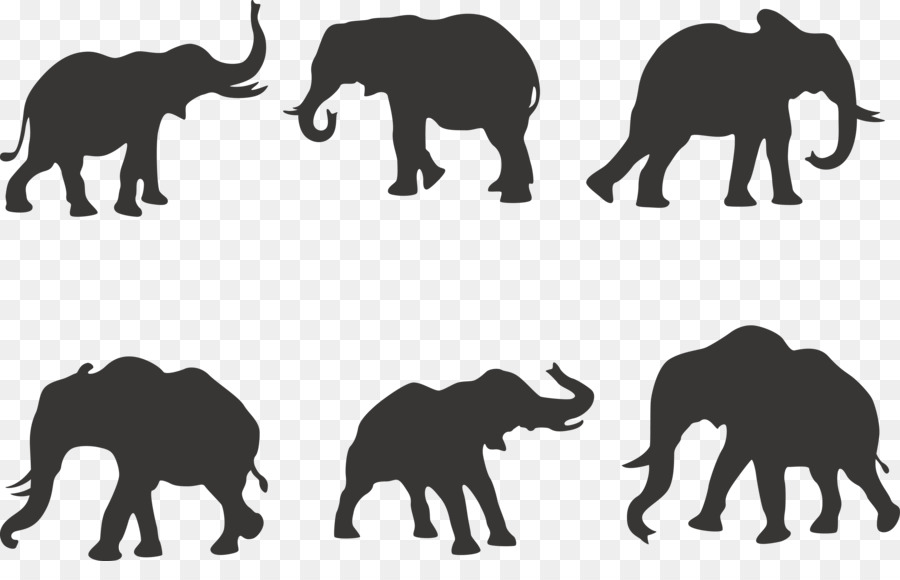 900x580 African Elephant Silhouette Indian Elephant