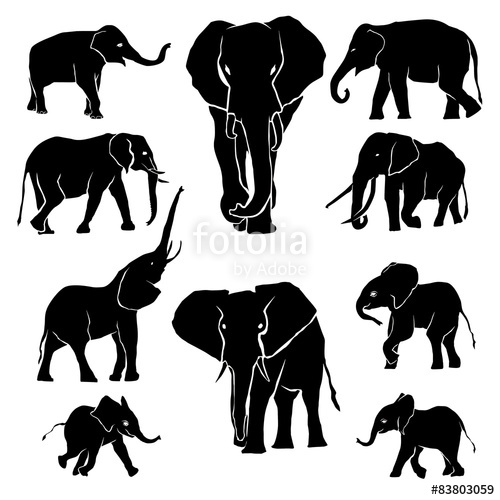 500x500 Elephant Silhouette Pack Stock Image And Royalty Free Vector
