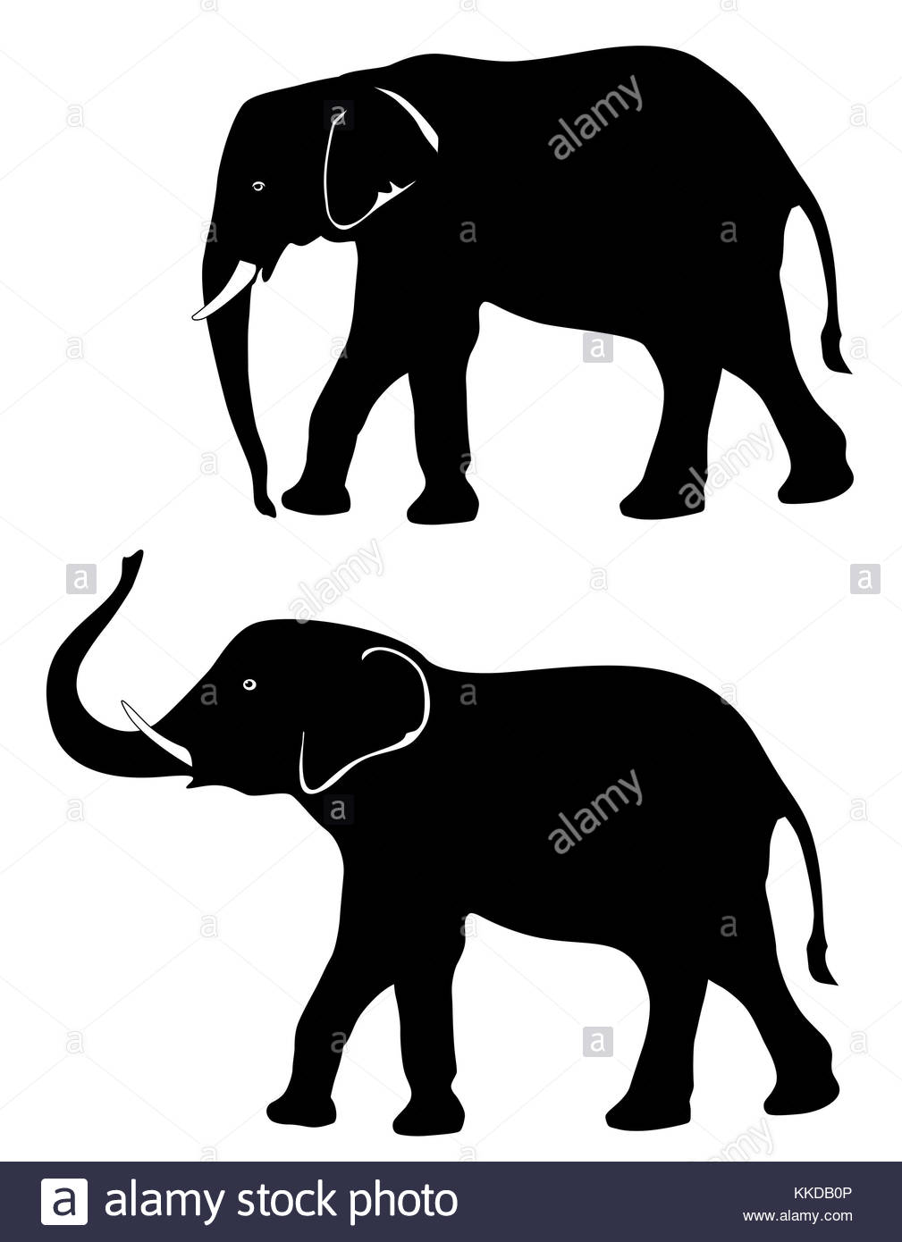 1009x1390 Elephant Silhouette Vector Eps 10 Stock Photo 166865798