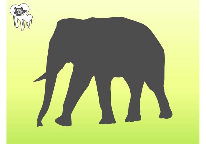 700x490 Vector Elephant Silhouette Graphics