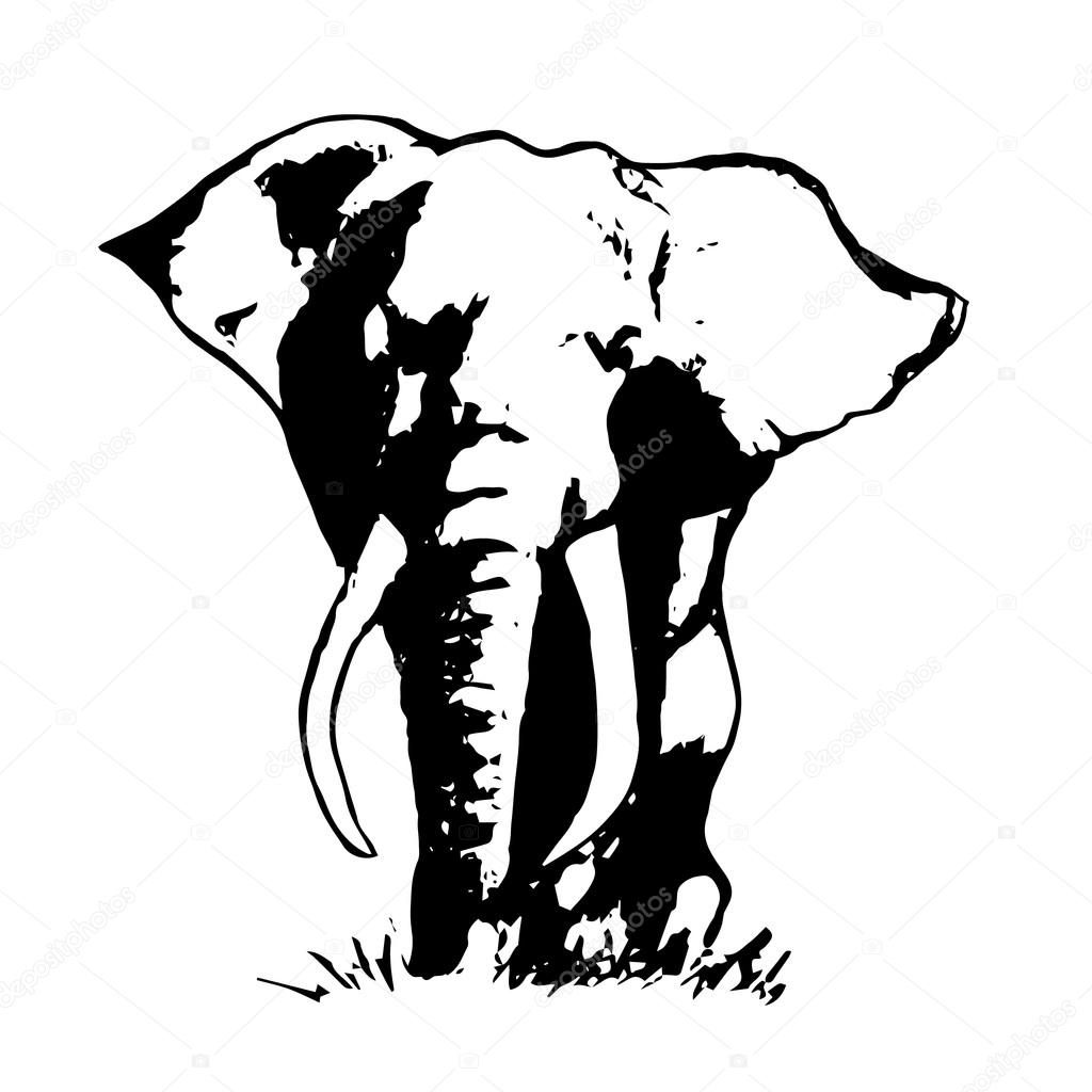 1024x1024 Elephant Abstraction Black 0 Stock Vector Mila Endo