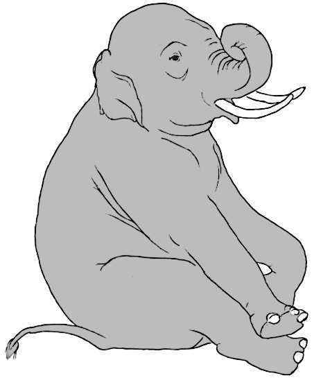 453x545 Sitting Elephant
