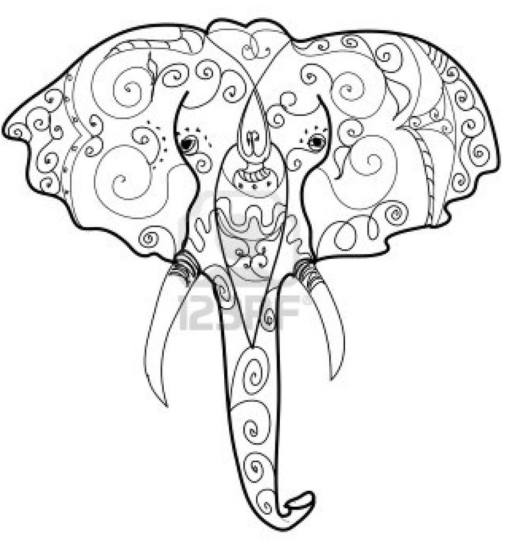 736x778 Drawn Head Indian Elephant