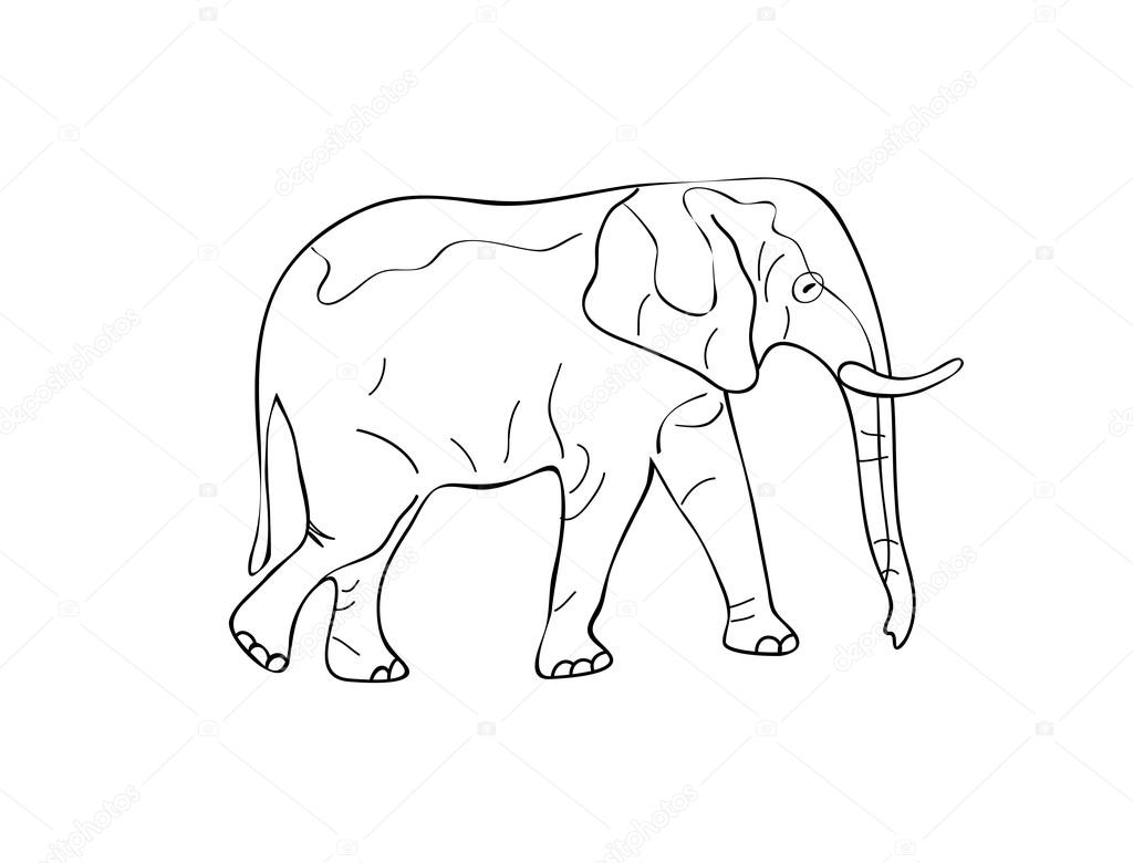 1024x780 Elephant Sketch Stock Vector Nikifiva
