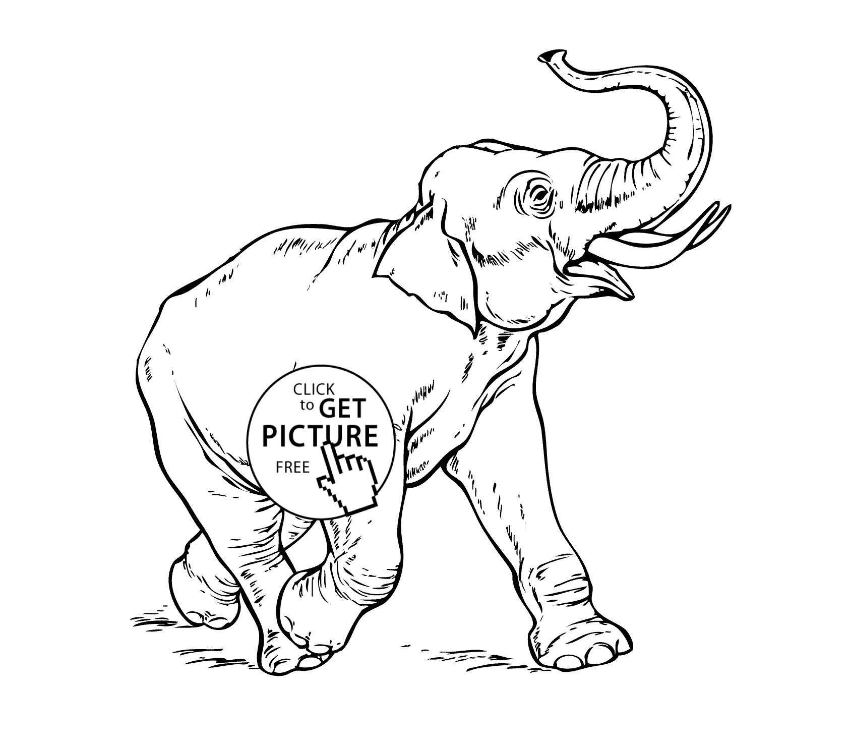 1684x1483 Elephant Running