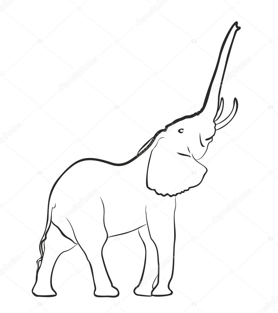 911x1024 Sketch Of Elephant. Stock Vector Designer