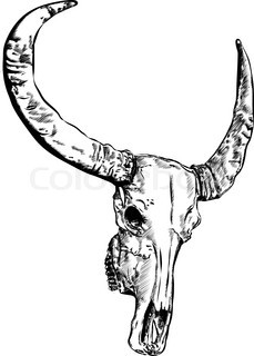 229x320 Doodle Cow, Cow Skull Sketch. Isolated In White Background