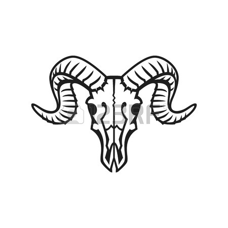 450x450 Goat Skull Stock Photos. Royalty Free Business Images