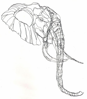 Elephant Skull Drawing