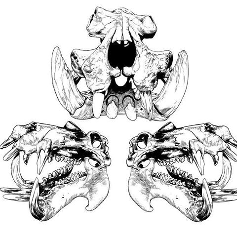 480x480 Djdjsodidrja) Instagram Photos And Videos