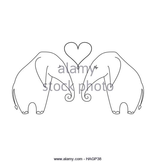 520x540 Elephant Vector Vectors Stock Photos Amp Elephant Vector Vectors