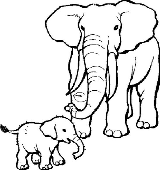 548x581 24 Best Y Blank Pattern Elephants Images On Coloring