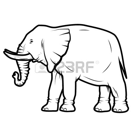 450x450 Vector Illustration Of Elephant Isolated On White Background
