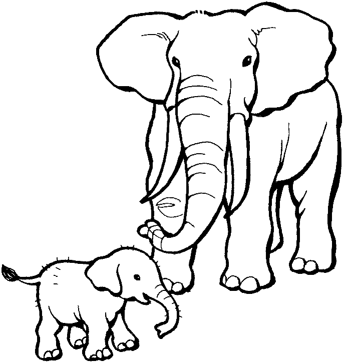 685x725 Elephant Pictures For Kids To Color 483144