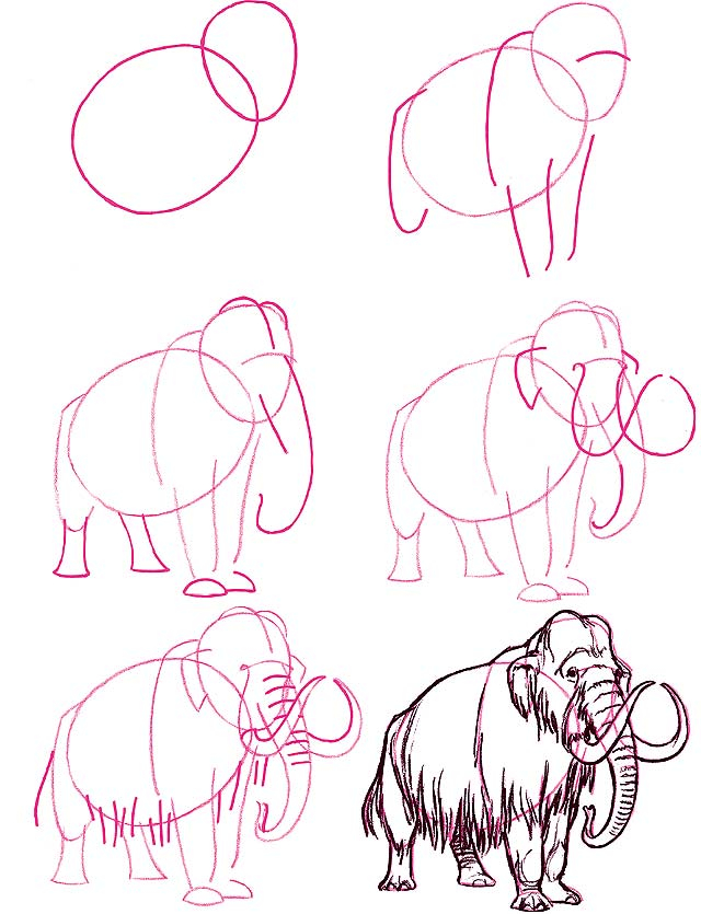 640x835 How To Draw A Mammoth Drawthings Drawings