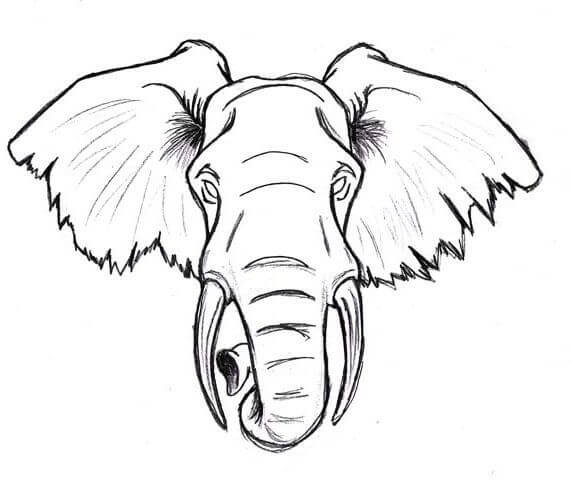 573x480 Elephant Tattoo Designs