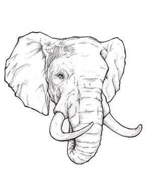 290x362 The Best Elephant Head Tattoo Ideas On Elephant