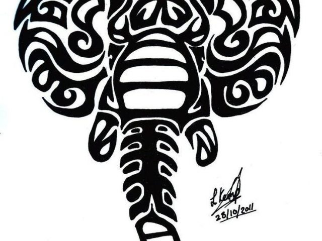 640x480 Tribal Elephant Tattoo Meaning Tattoo Ideas