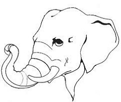 240x204 Elephant Trunk Shyam K