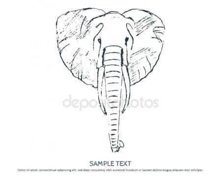 450x359 Baby Elephant Trunk Stock Vectors, Royalty Free Baby Elephant