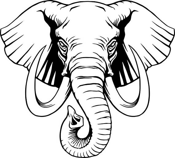 Elephant Tusk Drawing at GetDrawings | Free download