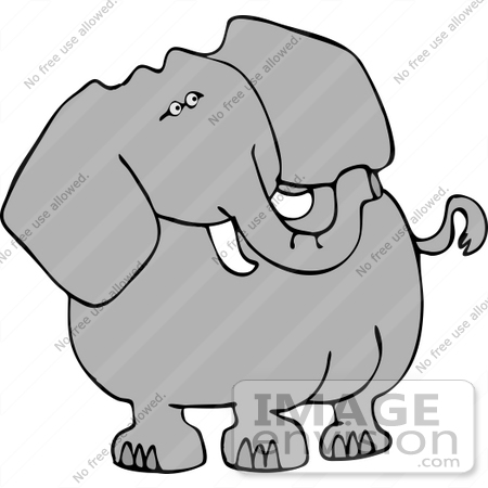 450x450 One Elephant With Tusks Clipart