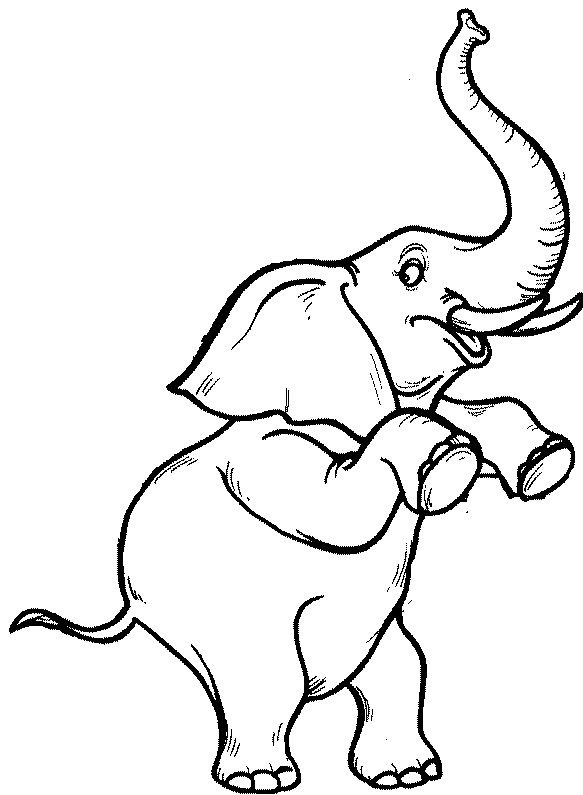 583x795 Don'T Think About Elephants (And Other Secrets For Getting Clients