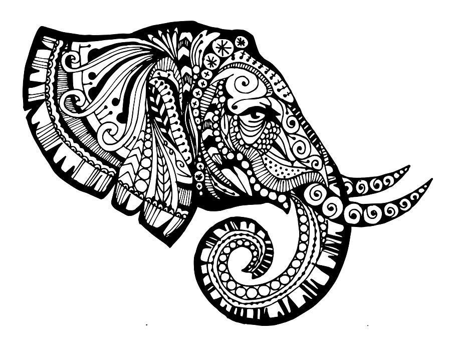 900x695 Drawn Artistic Elephant