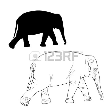450x450 Elephant Adult Animal Detailed Outline Sketch Drawing And Black