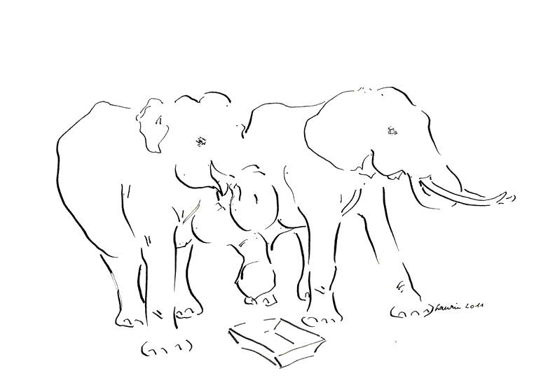 792x560 The First Drawings From Elephants