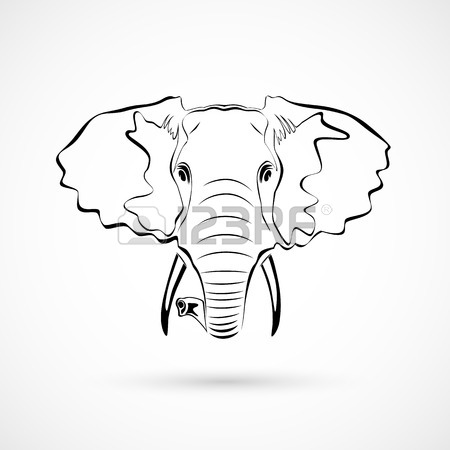 450x450 Elephant Head Stock Photos. Royalty Free Business Images