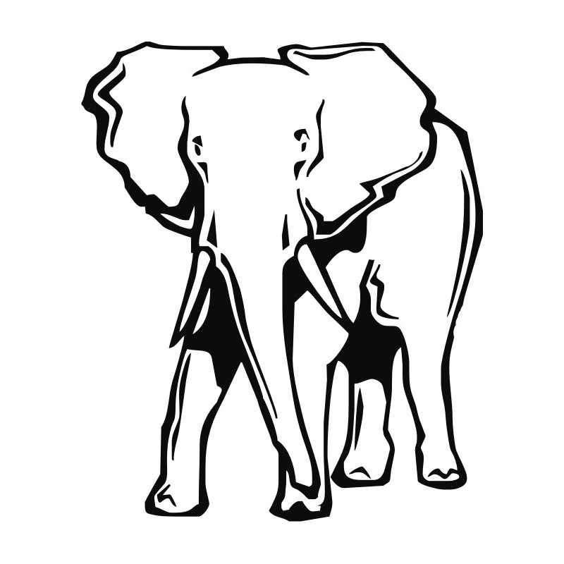 800x800 Elephant Line Art