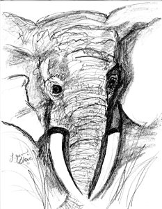 233x300 Elephants Face Paintings Fine Art America