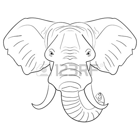 450x450 Black And White Elephant Face Ink Sketch On A White Background
