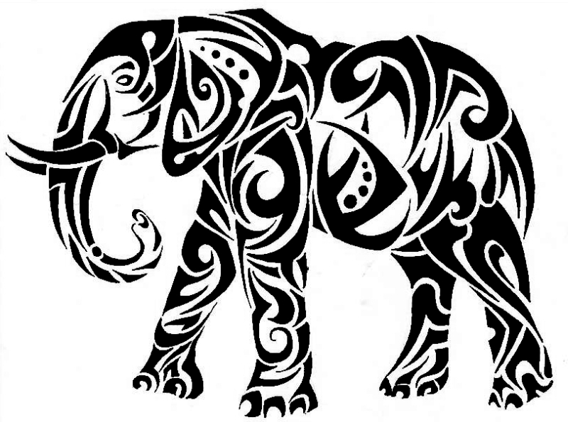 800x595 Collection Of Elephant Tattoo Sample