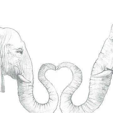 360x360 Elephant Love