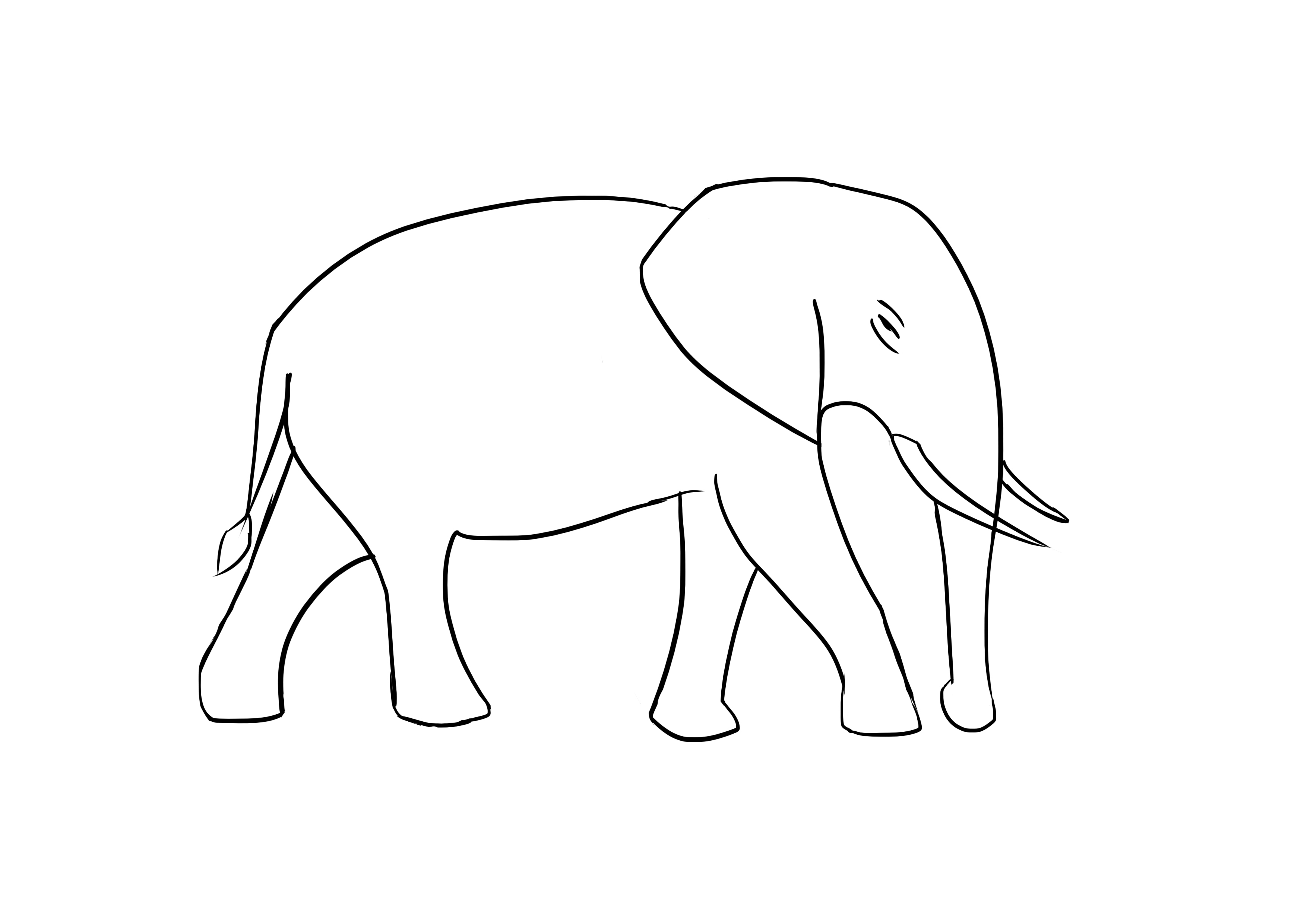 3508x2480 Obsession With Elephants On Behance