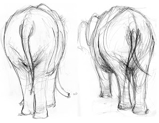 320x247 Instant Human Elephants And Winterfair